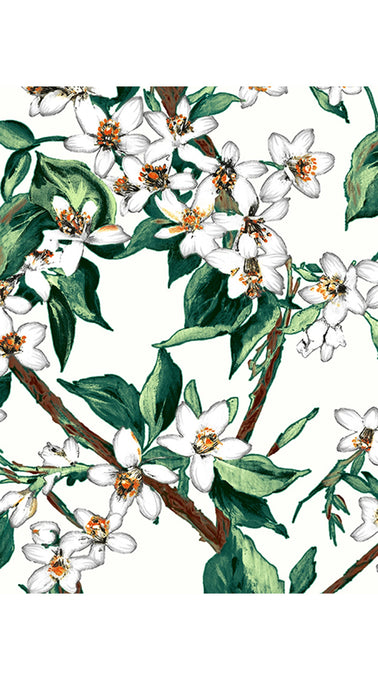 Emma Skirt Midi Plus Length Cotton Musola (Magnolia New)