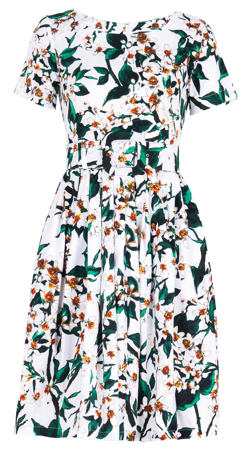 Rachel Dress Boat Neck Short Sleeve Regular Length Cotton Stretch (Magnolia New) @4