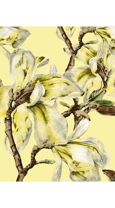 Audrey Dress #2 Shirt Collar 3/4 Sleeve Midi Length Cotton Stretch (Magnolia Blossom)
