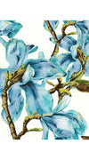 Aster Dress Shirt Collar 3/4 Sleeve Long Length Cotton Musola (Magnolia Blossom)