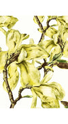 Aster Dress Boat Neck 1/2 Sleeve Midi Length Cotton Musola (Magnolia Blossom)