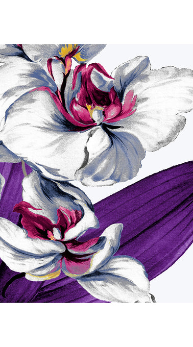 Olivia Dress Shirt Collar 3/4 Sleeve Midi Plus Length Cotton Musola (Mode Orchid)