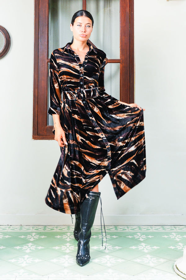 Audrey Dress #3 Shirt Collar 3/4 Sleeve Midi Plus Length Silk Velvet (Multi Zebra Dark)