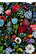 Aster Dress Shirt Collar 3/4 Sleeve Midi Length Silk Taffta (Multicolor Botanic)