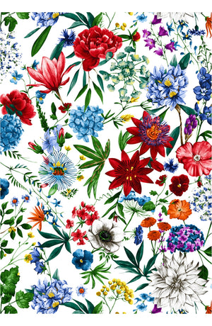 Aster Dress Shirt Collar 3/4 Sleeve Midi Length Silk Taffta (Multicolor Botanic)