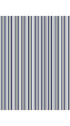 Aster Dress Shirt Collar 3/4 Sleeve Midi Length Poplin (Napoli Stripe Bright)