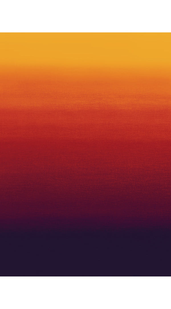 Audrey Dress #1 Shirt Collar 3/4 Sleeve Midi Plus Length Cotton Stretch (Ombre Multi)