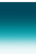 Aster Dress Shirt Collar 3/4 Sleeve Midi Length Cotton Musola (Ombre New)