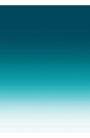 Aster Dress Shirt Collar 3/4 Sleeve Midi Length Cotton Musola (Ombre New)