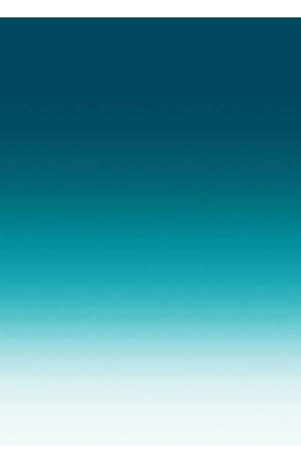 Aster Dress Shirt Collar 3/4 Sleeve Midi Length Cotton Musola (Ombre New)