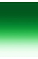 Aster Dress Shirt Collar 3/4 Sleeve Midi Length Cotton Musola (Ombre New)