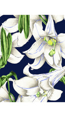 Aster Dress Shirt Collar 3/4 Sleeve Midi Length Cotton Musola (Paper Lillies Ground)