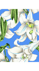 Aster Dress Shirt Collar 3/4 Sleeve Midi Length Cotton Musola (Paper Lillies Ground)