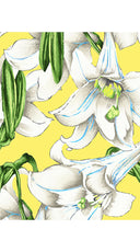 Aster Dress Shirt Collar 3/4 Sleeve Midi Length Cotton Musola (Paper Lillies Ground)
