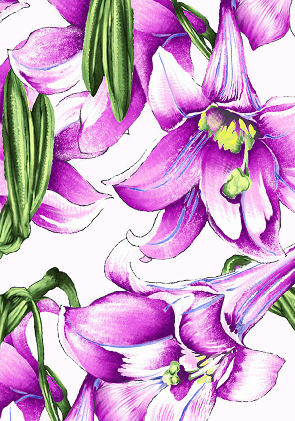 Paper Lillies White_White Pink_CS_14y