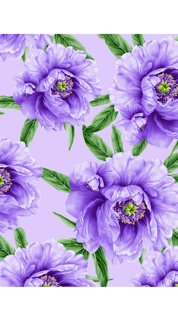 Terry Dress Shirt Collar Sleeveless Midi Plus Length Poliamide Taffta (Pastel Magnolia Ground)