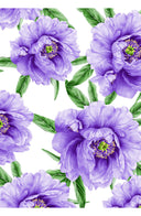 Aster Dress Crew Neck Sleeveless Midi Length Cotton Musola (Pastel Magnolia White)