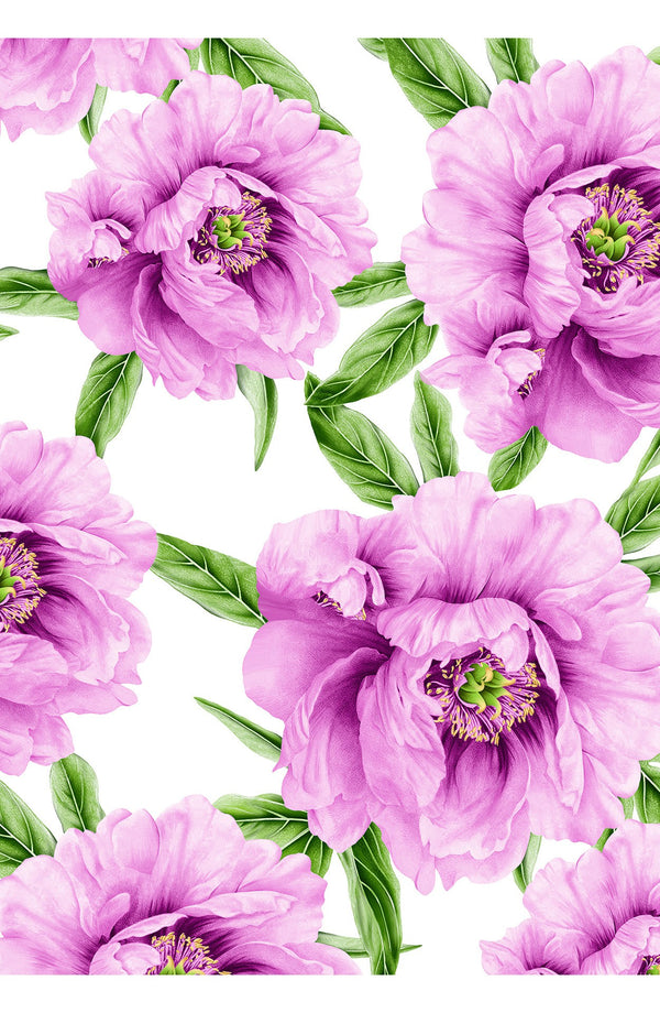 Aster Dress Crew Neck Sleeveless Midi Length Cotton Musola (Pastel Magnolia White)