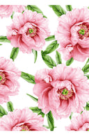 Aster Dress Crew Neck Sleeveless Midi Length Cotton Musola (Pastel Magnolia White)