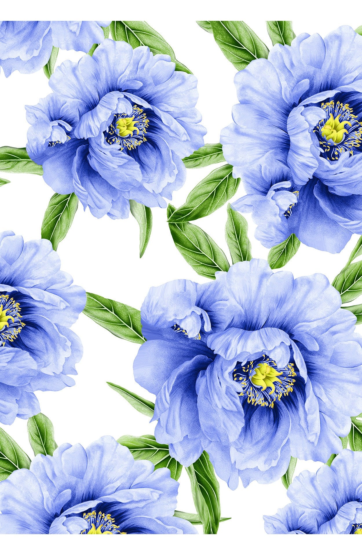 Aster Dress Shirt Collar 3/4 Sleeve Midi Plus Length Cotton Musola (Pa