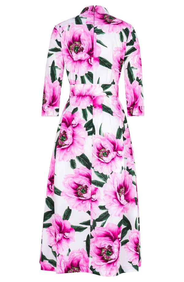 Lana Dress Shirt Collar 3/4 Sleeve Midi Plus Length Cotton Stretch (Pastel Magnolia White)