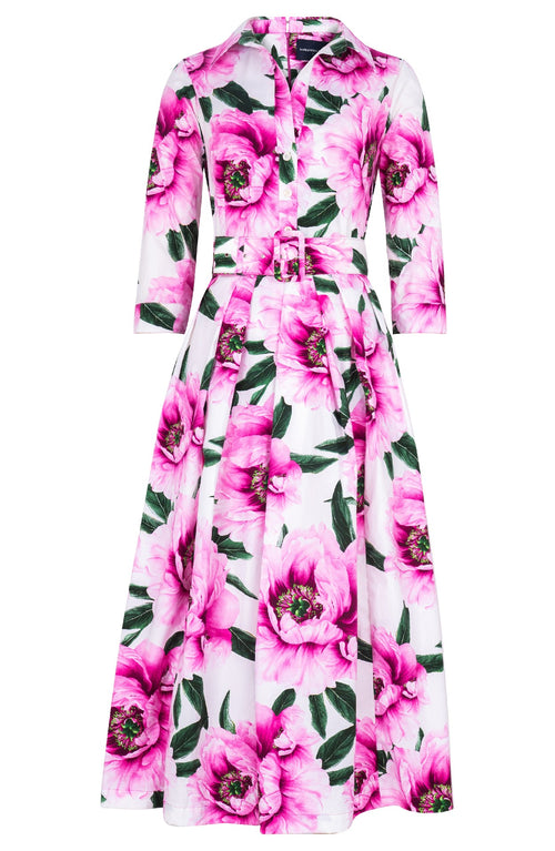 Lana Dress Shirt Collar 3/4 Sleeve Midi Plus Length Cotton Stretch (Pastel Magnolia White)