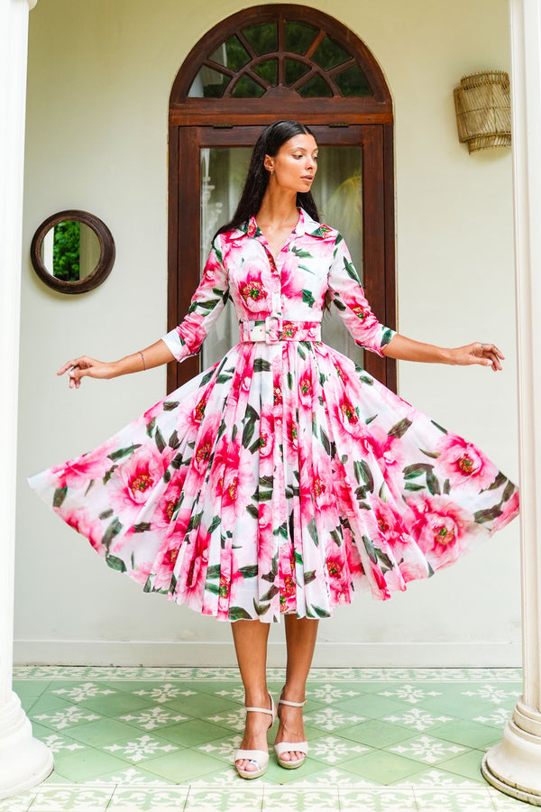 Aster Dress Shirt Collar 3/4 Sleeve Midi Length Cotton Musola (Pastel Magnolia White)