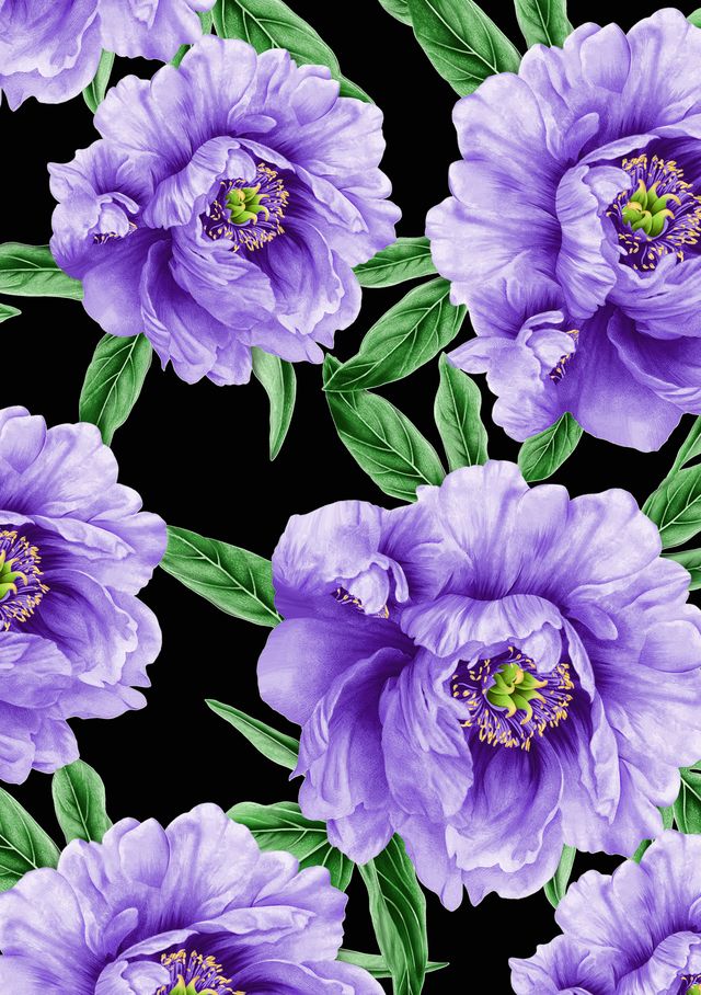 Audrey Dress #1 Shirt Collar 3/4 Sleeve Long Length Cotton Stretch (Pastel Magnolia Ground)