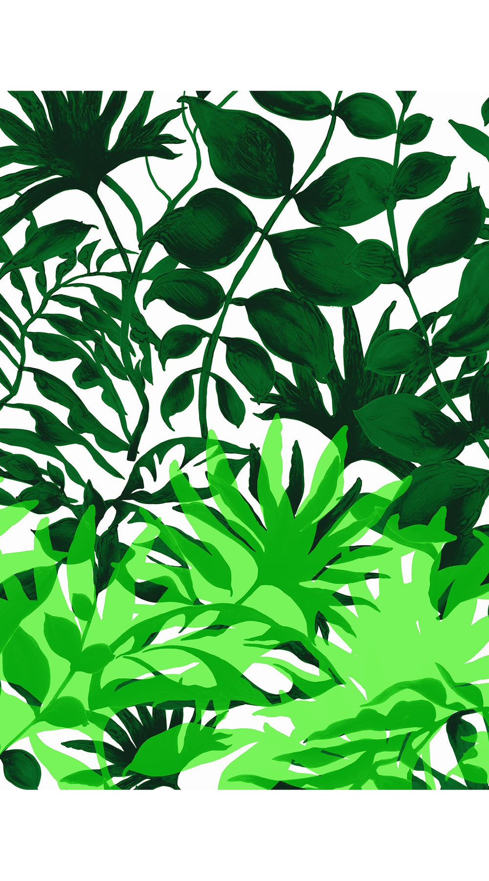 Aster Dress Shirt Collar 3/4 Sleeve Midi Plus Length Cotton Musola (Picasso Mono Flower White Multi)