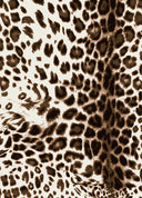 Audrey Dress #4 Shirt Collar 3/4 Sleeve Long Length Cotton Musola (Pierre Leopard)