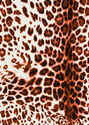 Audrey Dress #4 Shirt Collar 3/4 Sleeve Long Length Cotton Musola (Pierre Leopard)