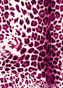 Audrey Dress #4 Shirt Collar 3/4 Sleeve Long Length Cotton Musola (Pierre Leopard)