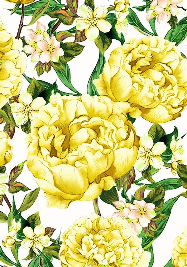 Pink Peony_White Yellow_CS_51y