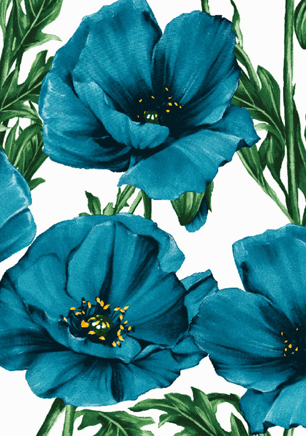 Poppy Poland Big_White Aqua_CS_35y