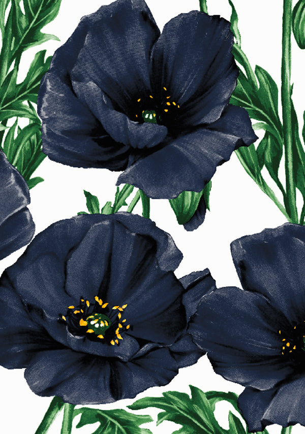 Poppy Poland Big_White Black_CS_15y