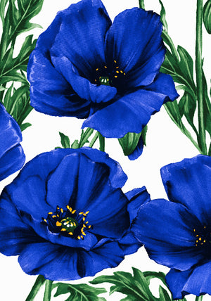Poppy Poland Big_White Cobalt Blue_Cotton Musola_294y