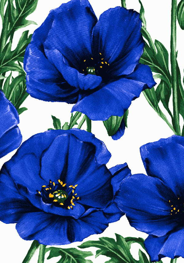 Poppy Poland Big_White Cobalt Blue_Cotton Musola_327y