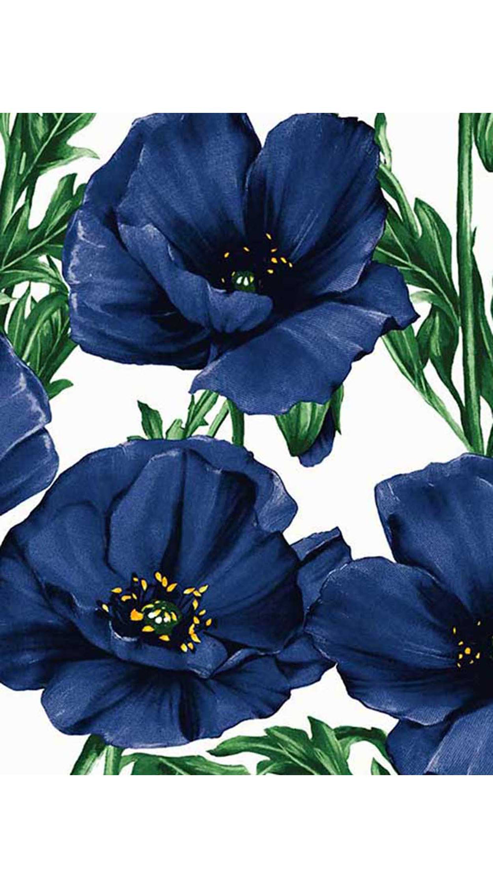 Chelsea Dress Boat Neck Sleeveless Poplin (Poppy Poland Big)