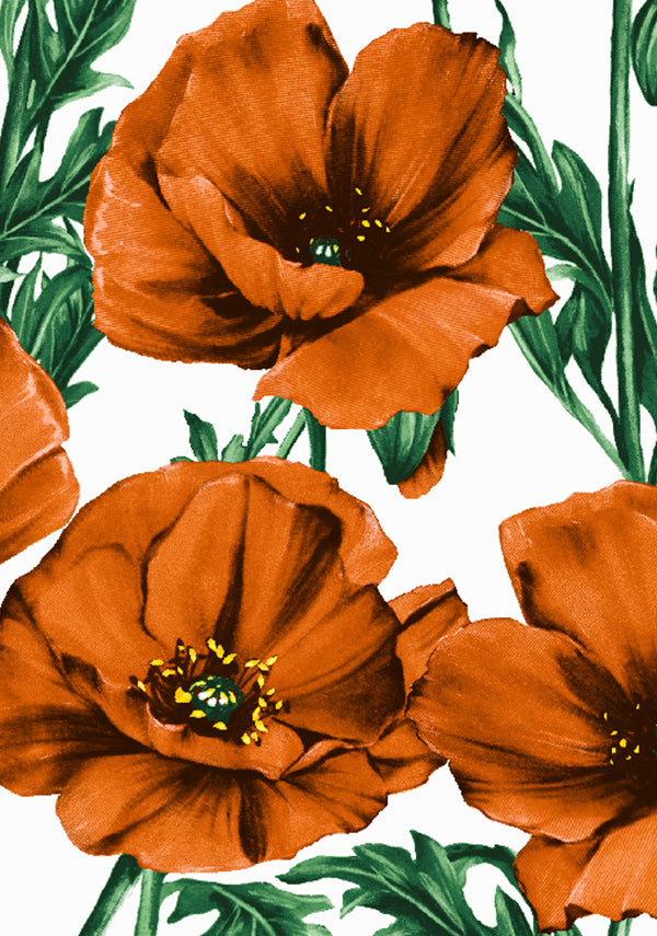 Poppy Poland Big_White Orange_Musola_47y_w size variant