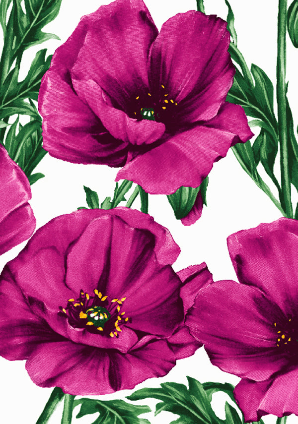 Poppy Poland Big_White Pink_Cotton Musola_100y