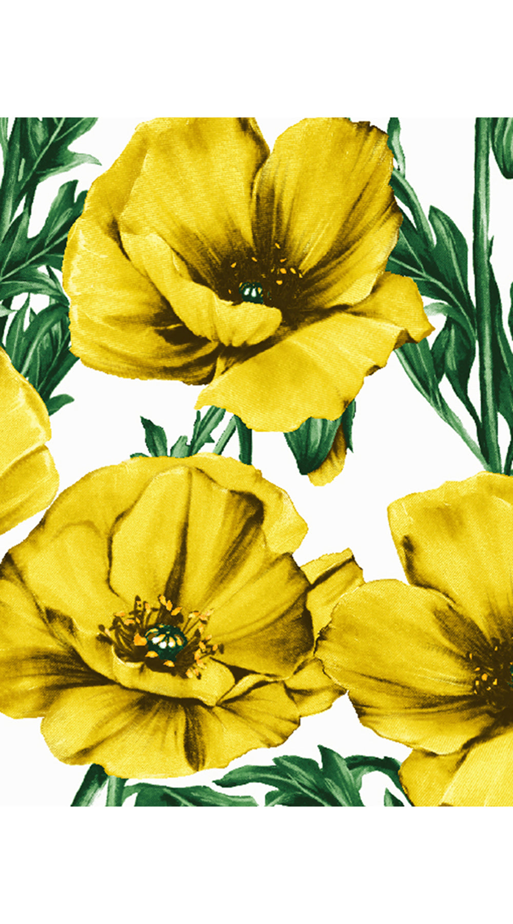 Laurent Dress Shirt Collar 3/4 Sleeve Long Length Cotton Stretch (Poppy Poland Big)