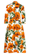 Lana Dress Shirt Collar 3/4 Sleeve Midi Length Cotton Stretch (Poppy Polland)
