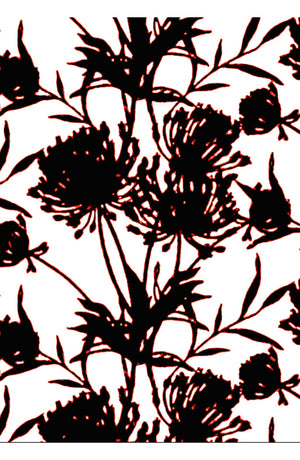 Aster Dress Boat Neck Sleeveless Midi Plus Length Cotton Musola (Primavery Silhouette White)