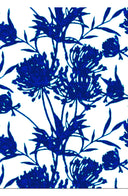 Aster Dress Boat Neck Sleeveless Midi Plus Length Cotton Musola (Primavery Silhouette White)