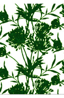 Aster Dress Boat Neck Sleeveless Midi Plus Length Cotton Musola (Primavery Silhouette White)