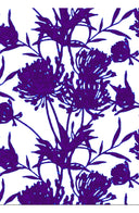 Aster Dress Boat Neck Sleeveless Midi Plus Length Cotton Musola (Primavery Silhouette White)