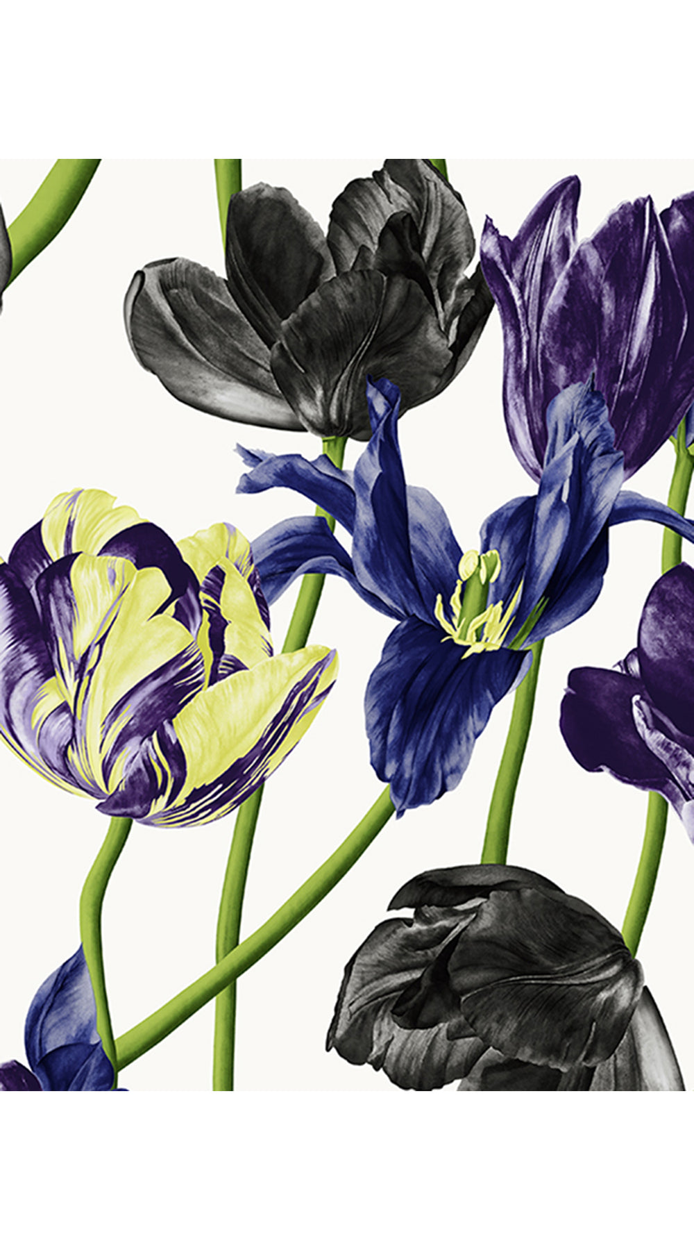 Eva Dress Crew Neck Tie 3/4 Sleeve Midi Length Linen (Rambrandt Tulip)