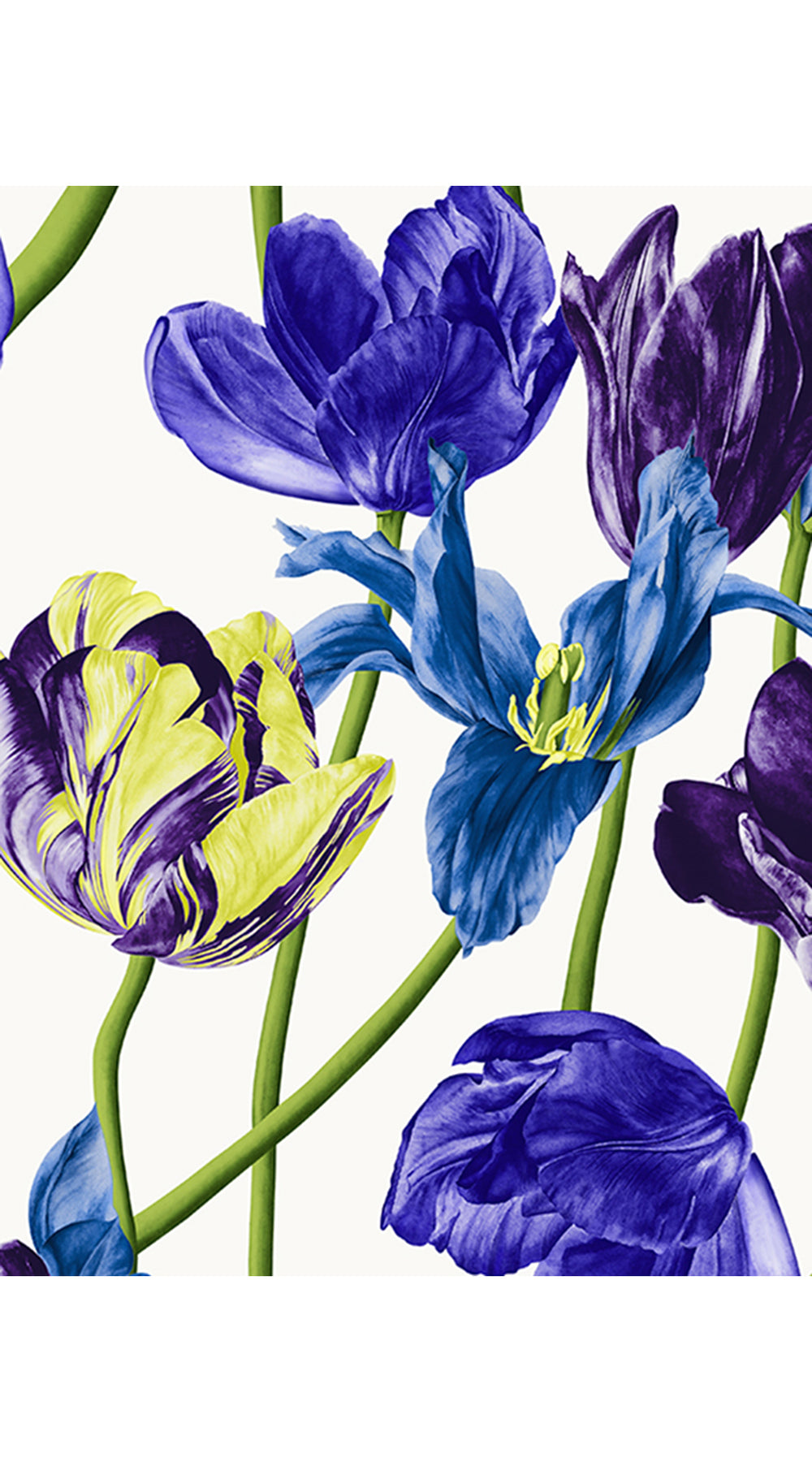 Eva Dress Crew Neck Tie 3/4 Sleeve Midi Plus Length Linen (Rambrandt Tulip)