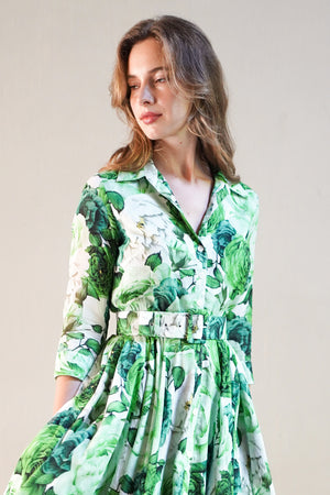 Aster Dress Shirt Collar 3/4 Sleeve Midi Length Cotton Musola (Rose Wallpaper)
