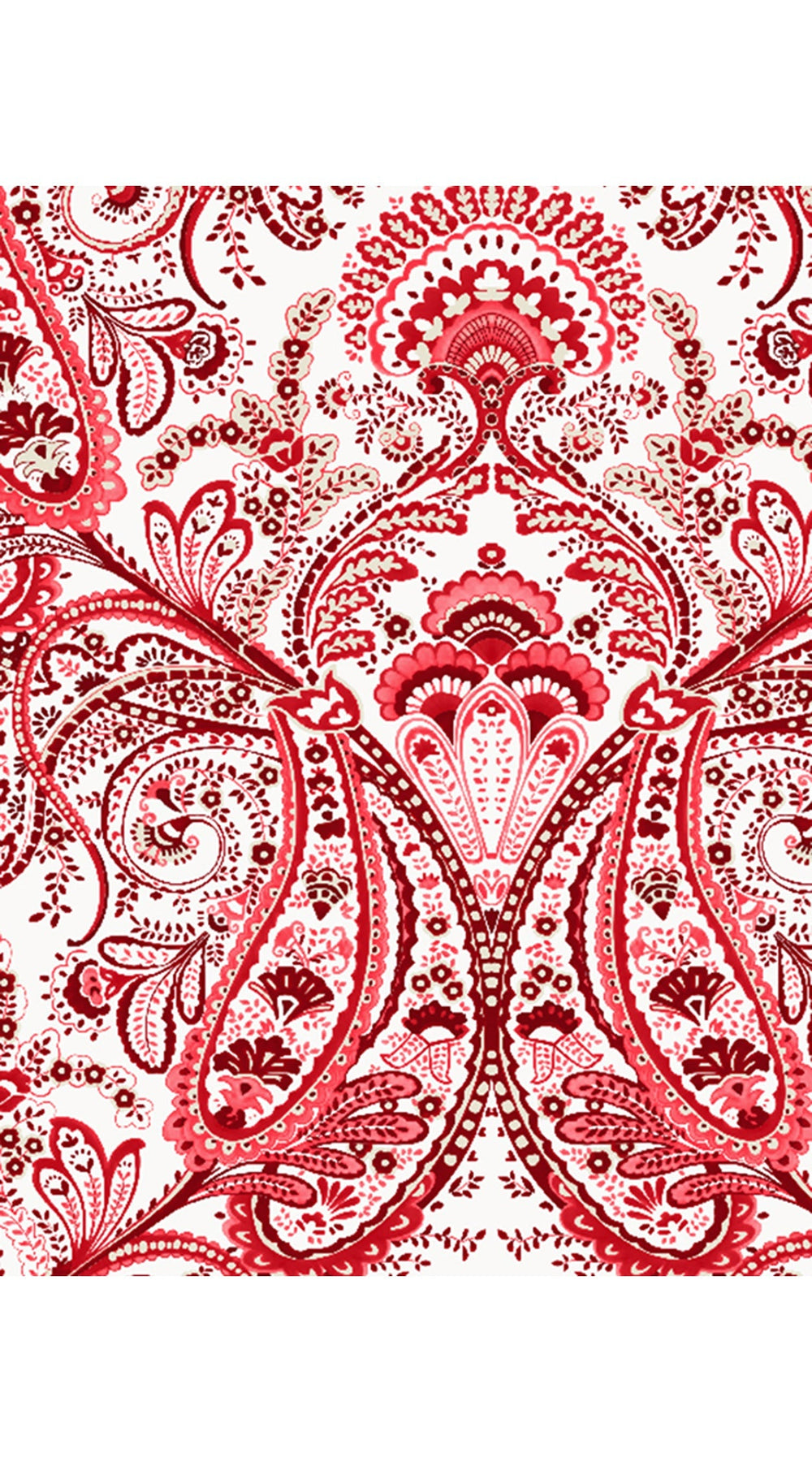 Aster Dress Shirt Collar 3/4 Sleeve Midi Length Cotton Musola (Russian Paisley)